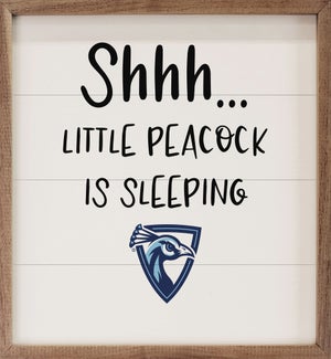 Shhh Little Upper Iowa University